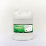 GALON FONDO