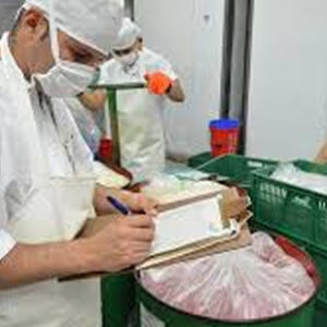 LINEA ALIMENTICIA