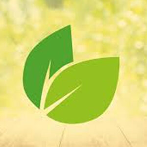 LINEA ECOLOGICA